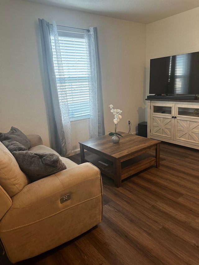 1905 George Ave, Sanger, CA 93657 - living room with dark wood-style flooring