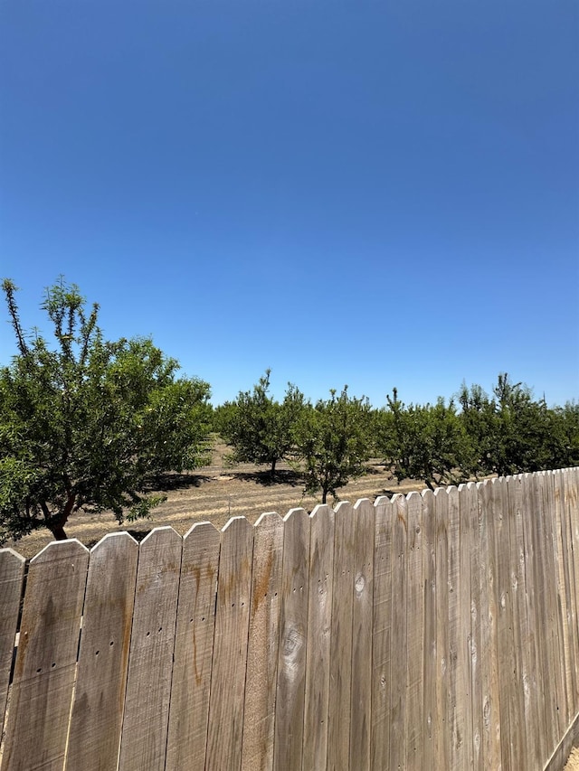 1905 George Ave, Sanger, CA 93657 - view of yard