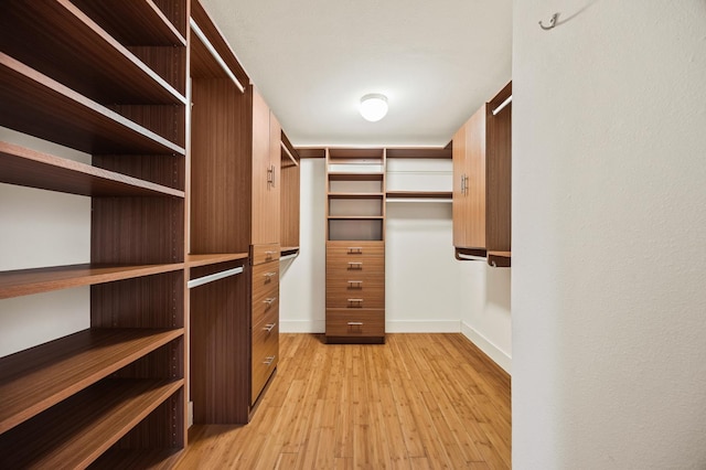 1095 W San Ramon Ave, Fresno, CA 93711 - spacious closet with light wood-style flooring