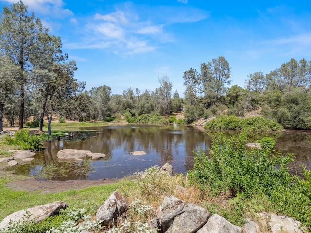 28899 Limestone Way, Coarsegold, CA 93614 - photo 39