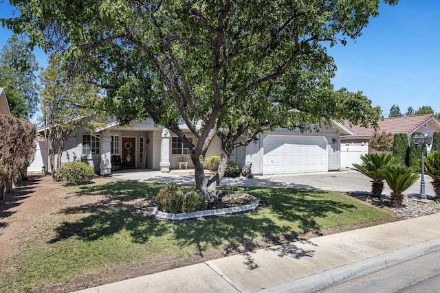 173 Keck Ln, Coalinga, CA 93210 - photo 3