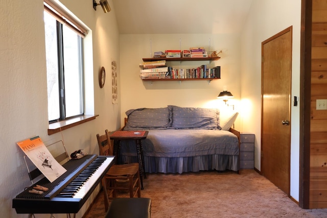 42045 Jeffrey Ln, Shaver Lake, CA 93664 - carpeted bedroom with multiple windows and vaulted ceiling