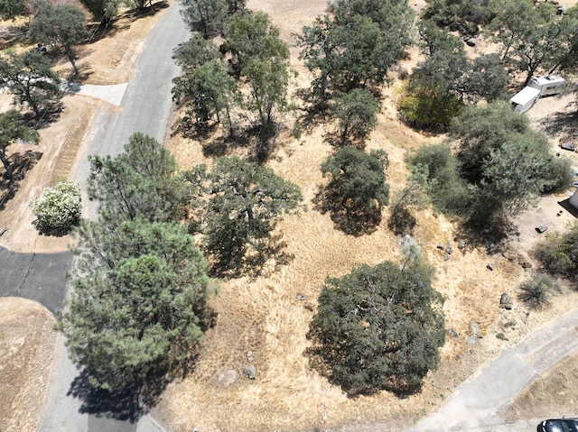 1806 Sentinel Dr, Coarsegold, CA 93614 - photo 5