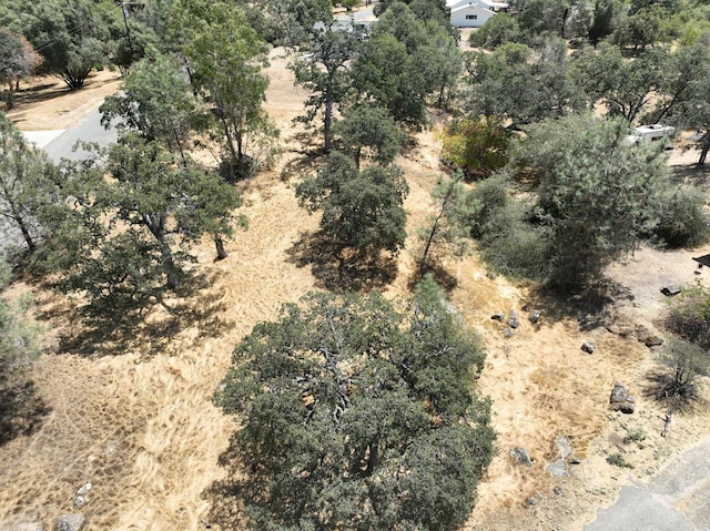 1806 Sentinel Dr, Coarsegold, CA 93614 - photo 1
