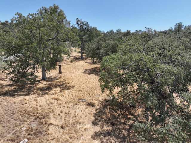1806 Sentinel Dr, Coarsegold, CA 93614 - photo 4