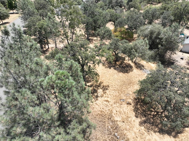 1806 Sentinel Dr, Coarsegold, CA 93614 - photo 6