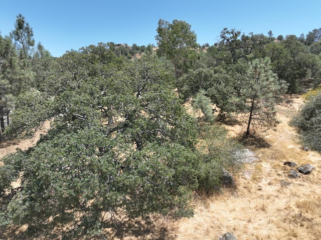 1806 Sentinel Dr, Coarsegold, CA 93614 - photo 3