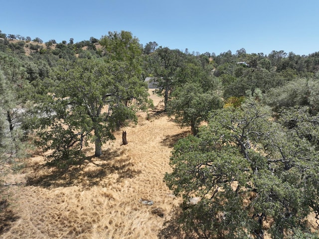 1806 Sentinel Dr, Coarsegold, CA 93614 - photo 2