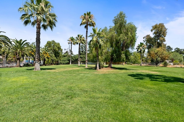 7207 E Bremer Ave, Fresno, CA 93737 - view of home's community featuring a yard