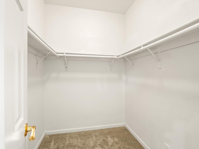2303 S Bush Ave, Fresno, CA 93727 - walk in closet with carpet