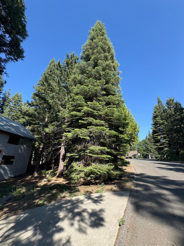 41031 Windwood Ln, Shaver Lake, CA 93664 - photo 47