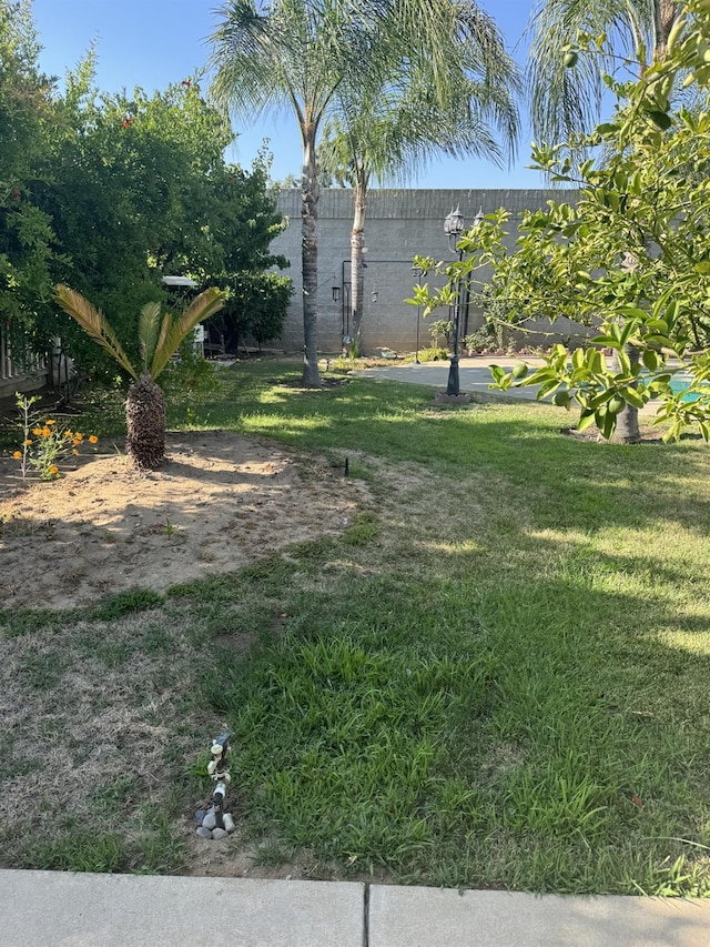 1723 Locust Ave, Clovis, CA 93611 - view of grassy yard