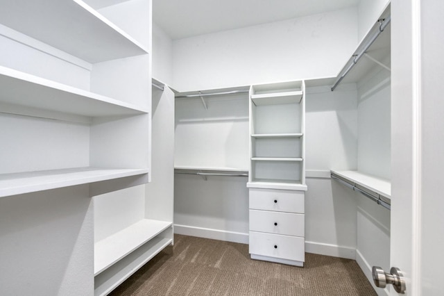 4994 W Minarets Ave, Fresno, CA 93722 - walk in closet with dark carpet
