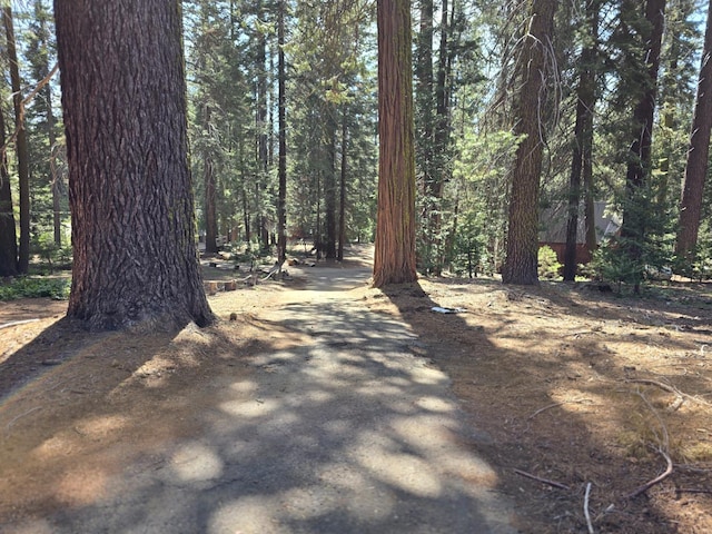 83703 Hazel, Wilsonia, CA 93633 - view of road with a forest view