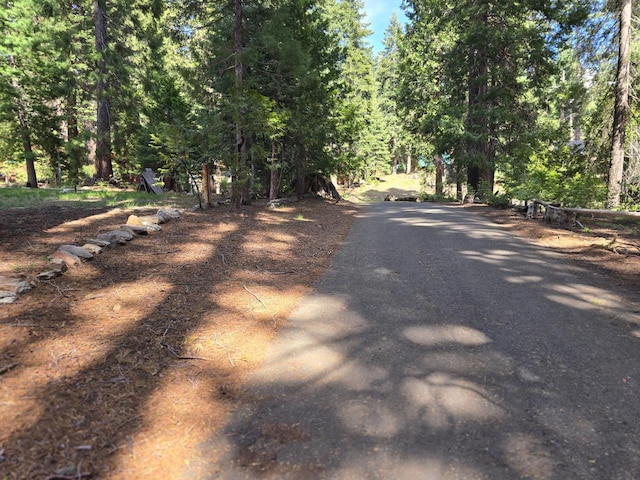 83703 Hazel, Wilsonia, CA 93633 - view of asphalt road