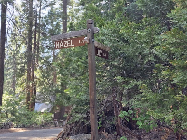 83703 Hazel, Wilsonia, CA 93633 - exterior view of a forest