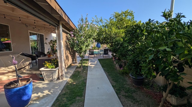 452 Rancho Mirage Rd, Madera, CA 93638 - view of yard with a patio area