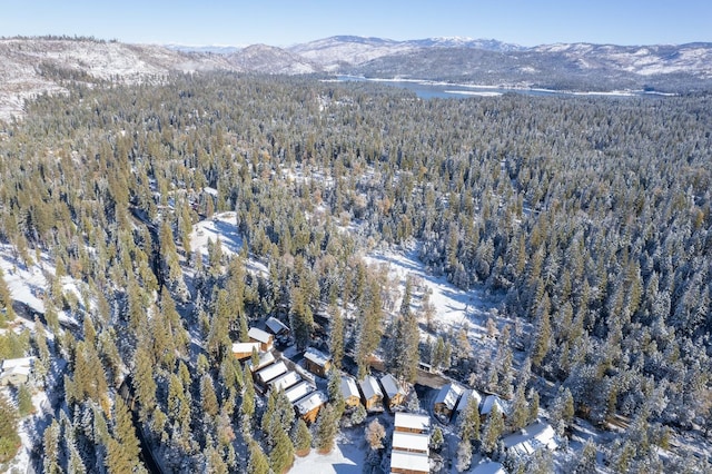 40862 Village Pass Ln, Shaver Lake, CA 93664 - aerial overview of property's location with a heavily wooded area and a mountain backdrop