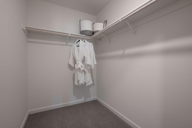 2045 Heidi Ave Unit 2048S, Sanger, CA 93657 - spacious closet featuring carpet