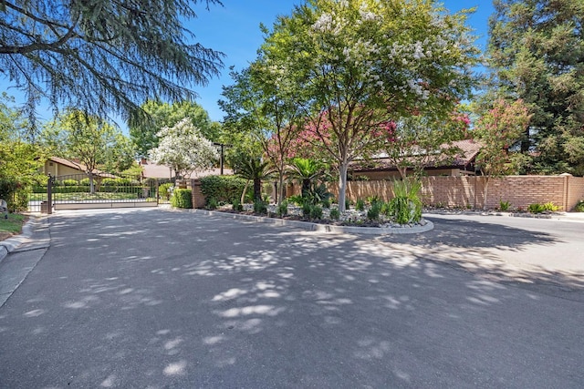 5630 N El Adobe Dr, Fresno, CA 93711 - view of asphalt street featuring curbs, a gate, and a gated entry