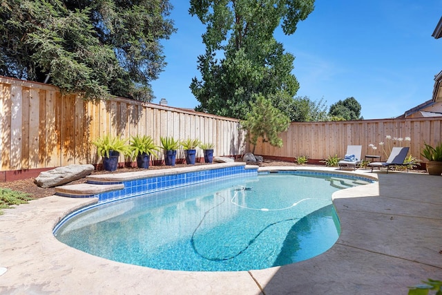 8194 N 5th St, Fresno, CA 93720 - view of swimming pool with a fenced backyard and a patio area