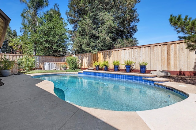 8194 N 5th St, Fresno, CA 93720 - view of swimming pool with a fenced backyard and a patio area