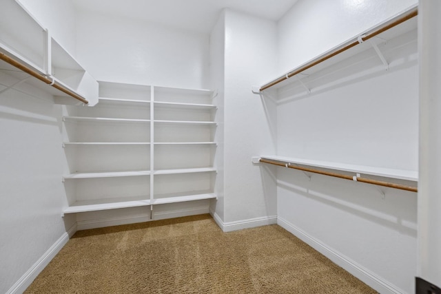 5857 W Modoc, Visalia, CA 93291 - spacious closet with carpet flooring