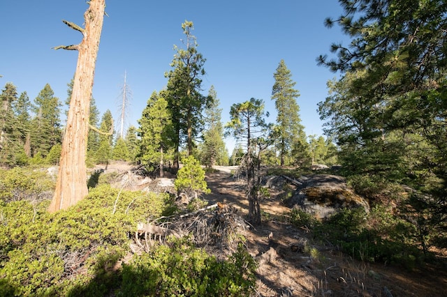 0 Littlefield Rd, Shaver Lake, CA 93664