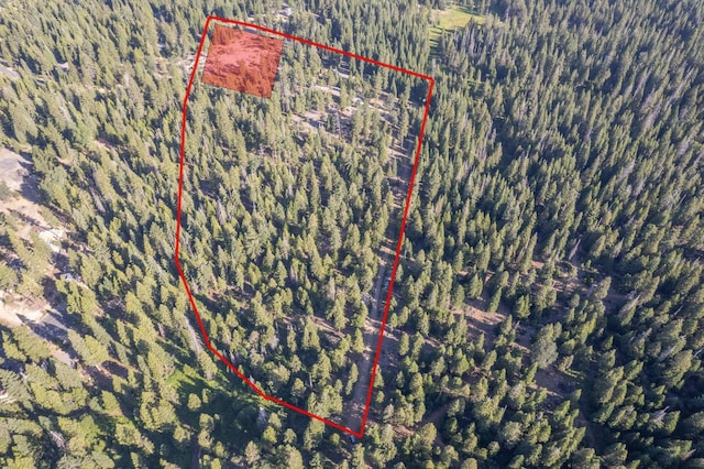 0 Littlefield Rd, Shaver Lake, CA 93664