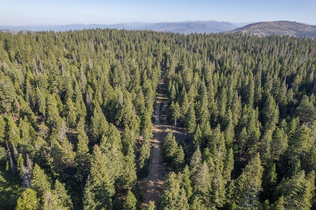 0 Littlefield Rd, Shaver Lake, CA 93664