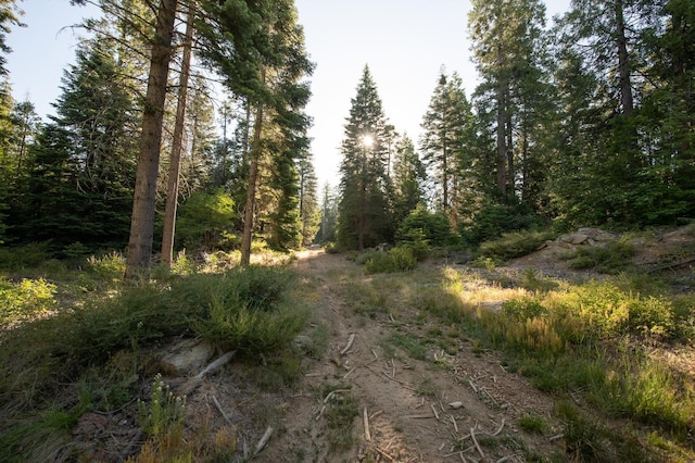 0 Littlefield Rd, Shaver Lake, CA 93664