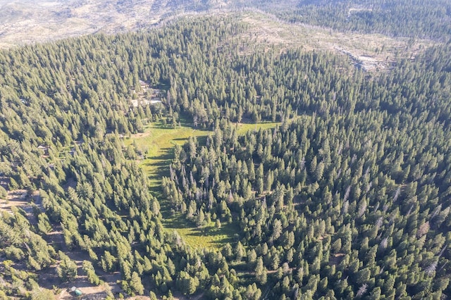 0 Littlefield Rd, Shaver Lake, CA 93664