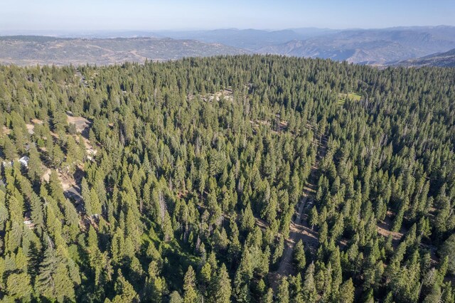 0 Littlefield Rd, Shaver Lake, CA 93664