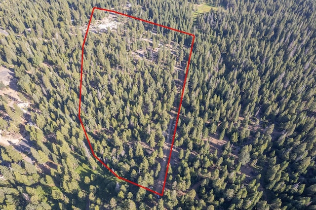 0 Littlefield Rd, Shaver Lake, CA 93664