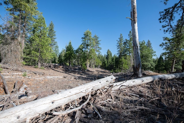 0 Littlefield Rd, Shaver Lake, CA 93664