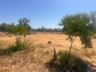 6674 W Mckinley, Fresno, CA 93723 - photo 12