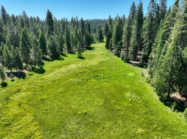 41628 Musick Dr, Shaver Lake, CA 93602 - photo 25