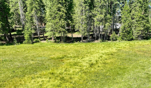 41628 Musick Dr, Shaver Lake, CA 93602 - photo 27