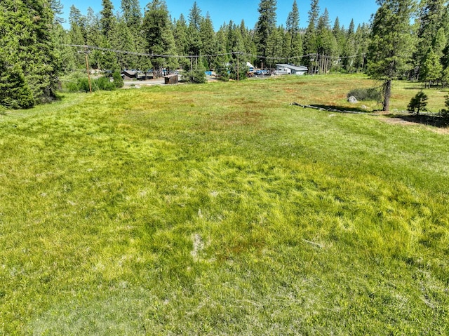 41628 Musick Dr, Shaver Lake, CA 93602 - photo 26