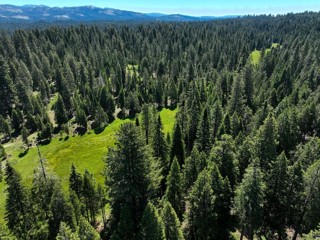 41628 Musick Dr, Shaver Lake, CA 93602 - photo 29