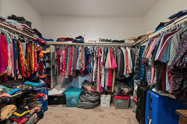 7330 E Princeton Ave, Fresno, CA 93737 - spacious closet featuring carpet floors