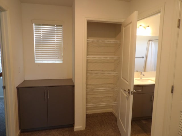 3725 Graystoke Way, Clovis, CA 93619 - closet with a sink
