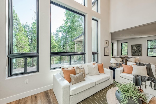 42732 Granite Cir, Shaver Lake, CA 93664 - living room with wood finished floors and baseboards