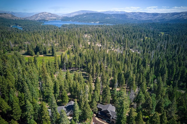 42732 Granite Cir, Shaver Lake, CA 93664 - aerial overview of property's location featuring a forest and a mountain backdrop
