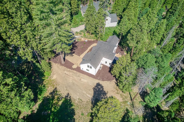 42732 Granite Cir, Shaver Lake, CA 93664 - view of subject property
