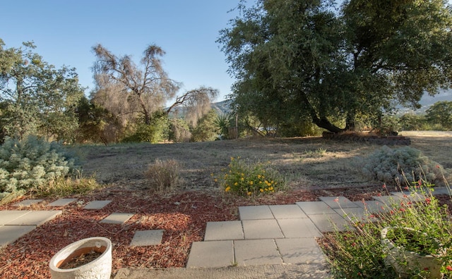 33072 Black Mountain Rd, Tollhouse, CA 93667 - photo 29