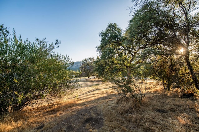33072 Black Mountain Rd, Tollhouse, CA 93667 - photo 35