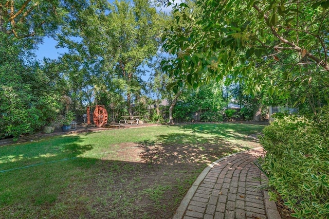 1649 W Menlo, Fresno, CA 93711 - view of yard