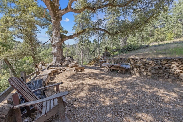 48675 Todd Eymann Rd, Miramonte, CA 93641 - view of yard