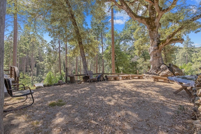 48675 Todd Eymann Rd, Miramonte, CA 93641 - view of yard